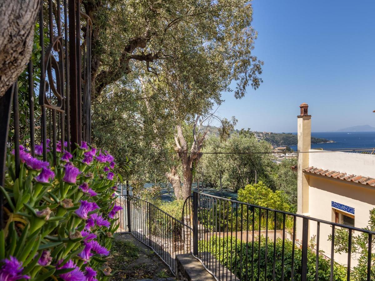 Ulivi Apt Villa Соренто Екстериор снимка