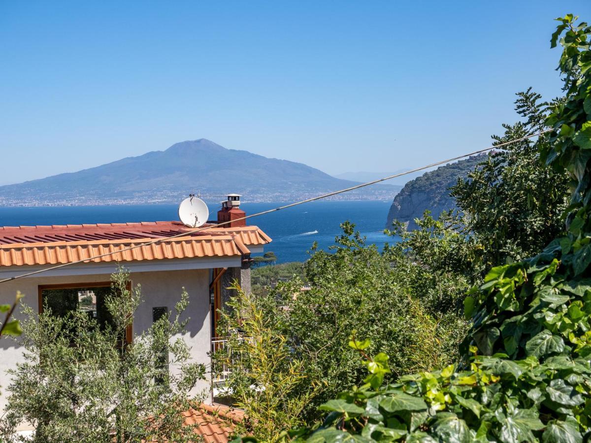Ulivi Apt Villa Соренто Екстериор снимка