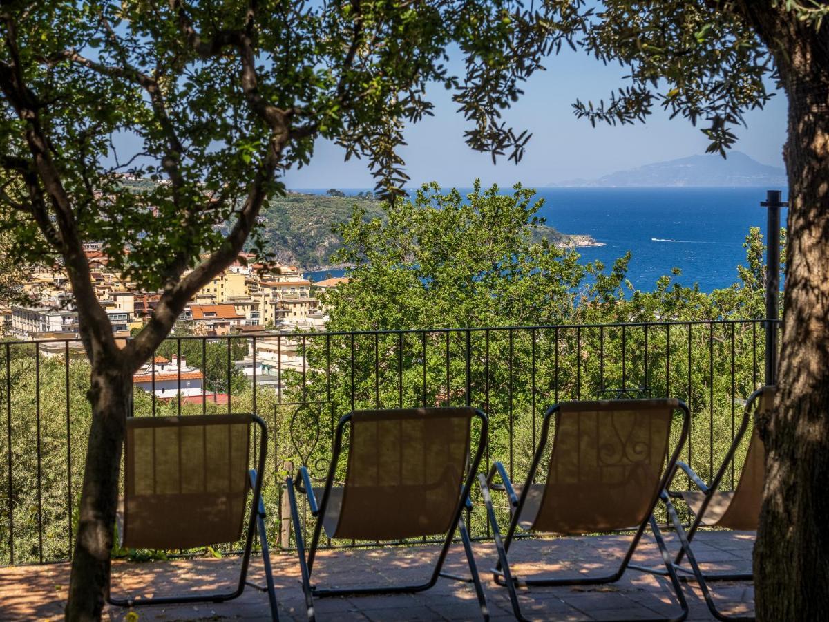 Ulivi Apt Villa Соренто Екстериор снимка