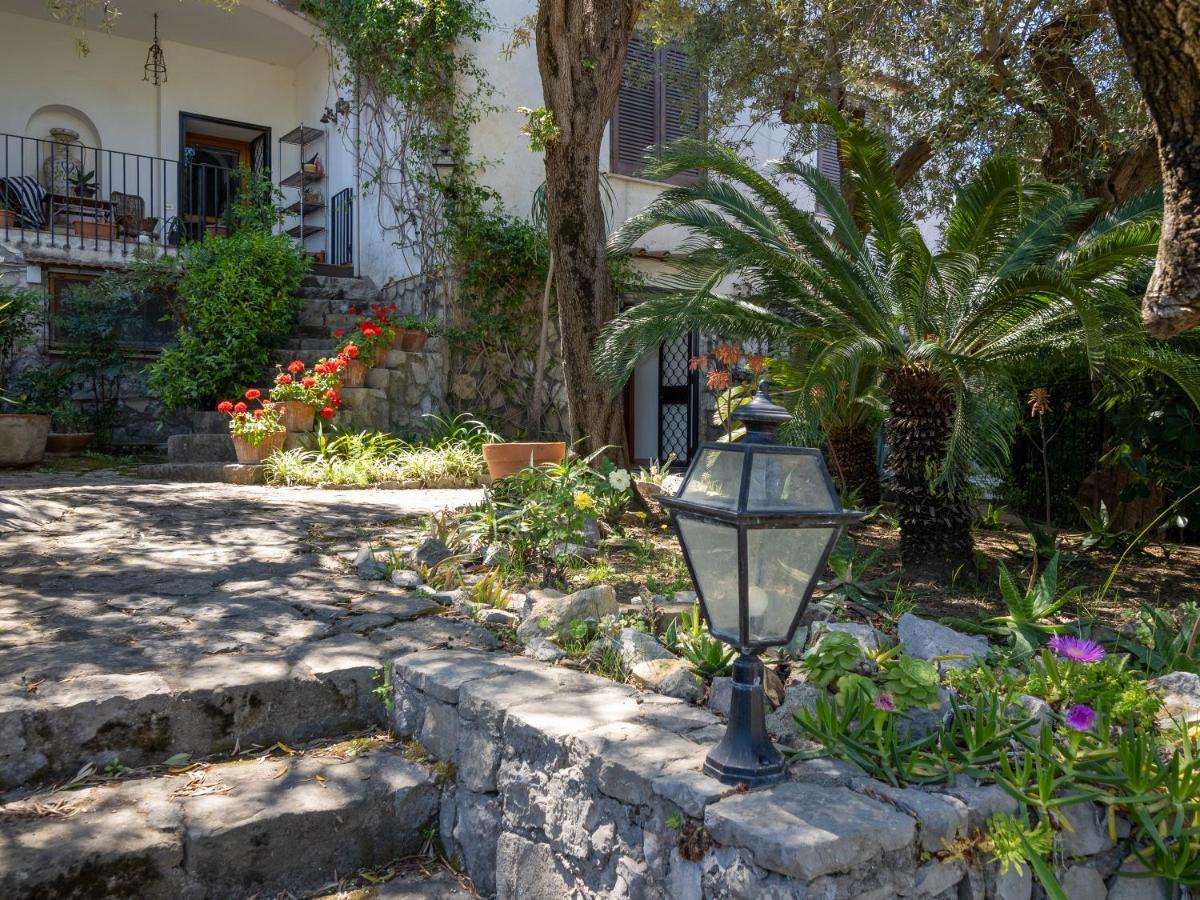 Ulivi Apt Villa Соренто Екстериор снимка