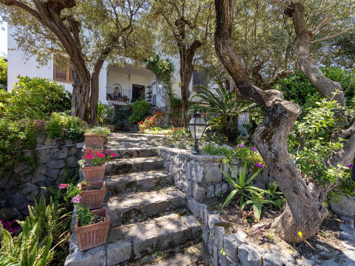 Ulivi Apt Villa Соренто Екстериор снимка